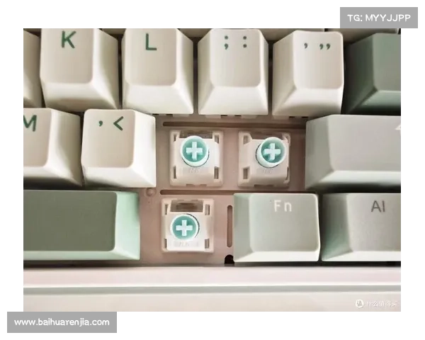 电脑单机游戏聊天软件:键盘交流新体验 电脑单机游戏聊天软件:键盘交流新体验